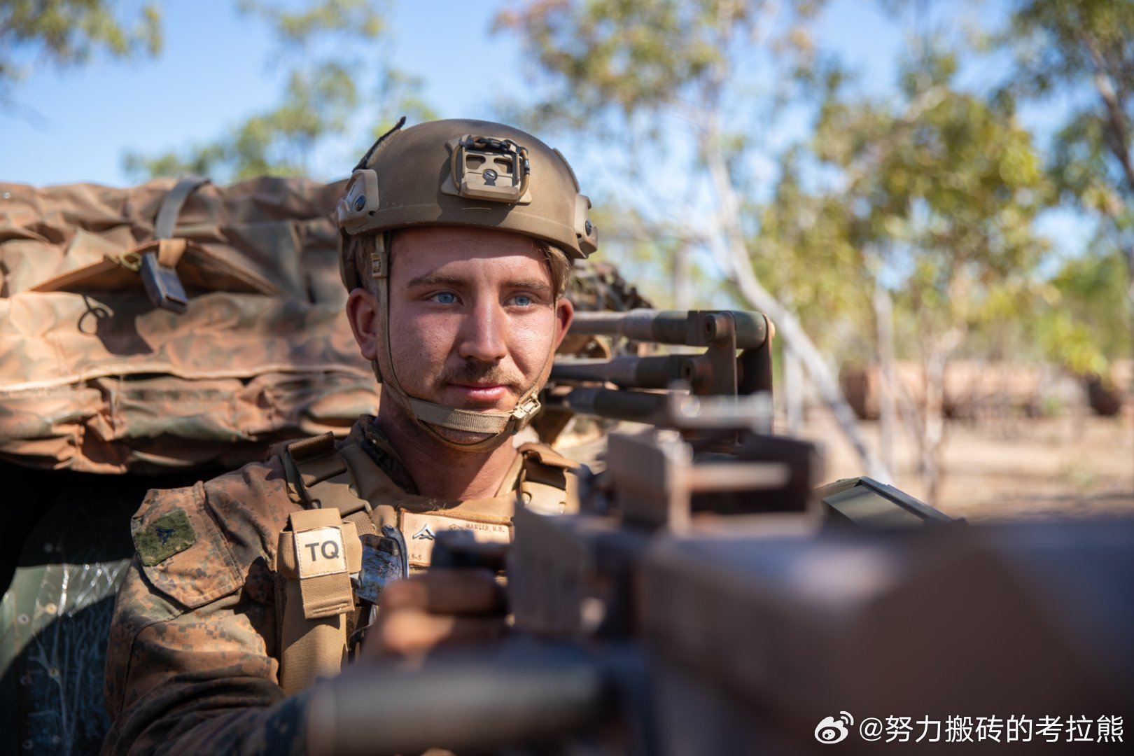 澳洲最新役情,澳洲最新役情🌍