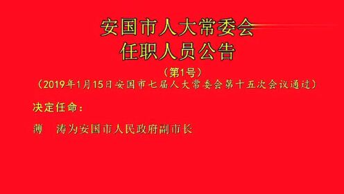 安国最新领导层任免动态，新变化展望未来发展