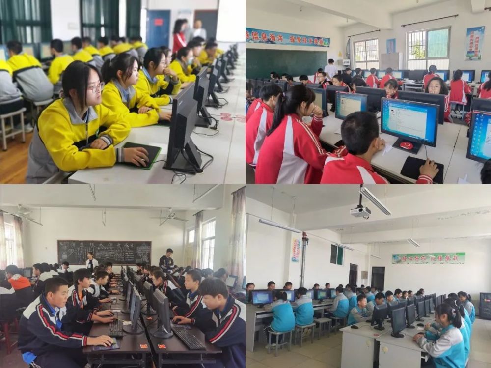 潍坊最新两例详解，任务完成与技能学习指南（适用于初学者与进阶用户）