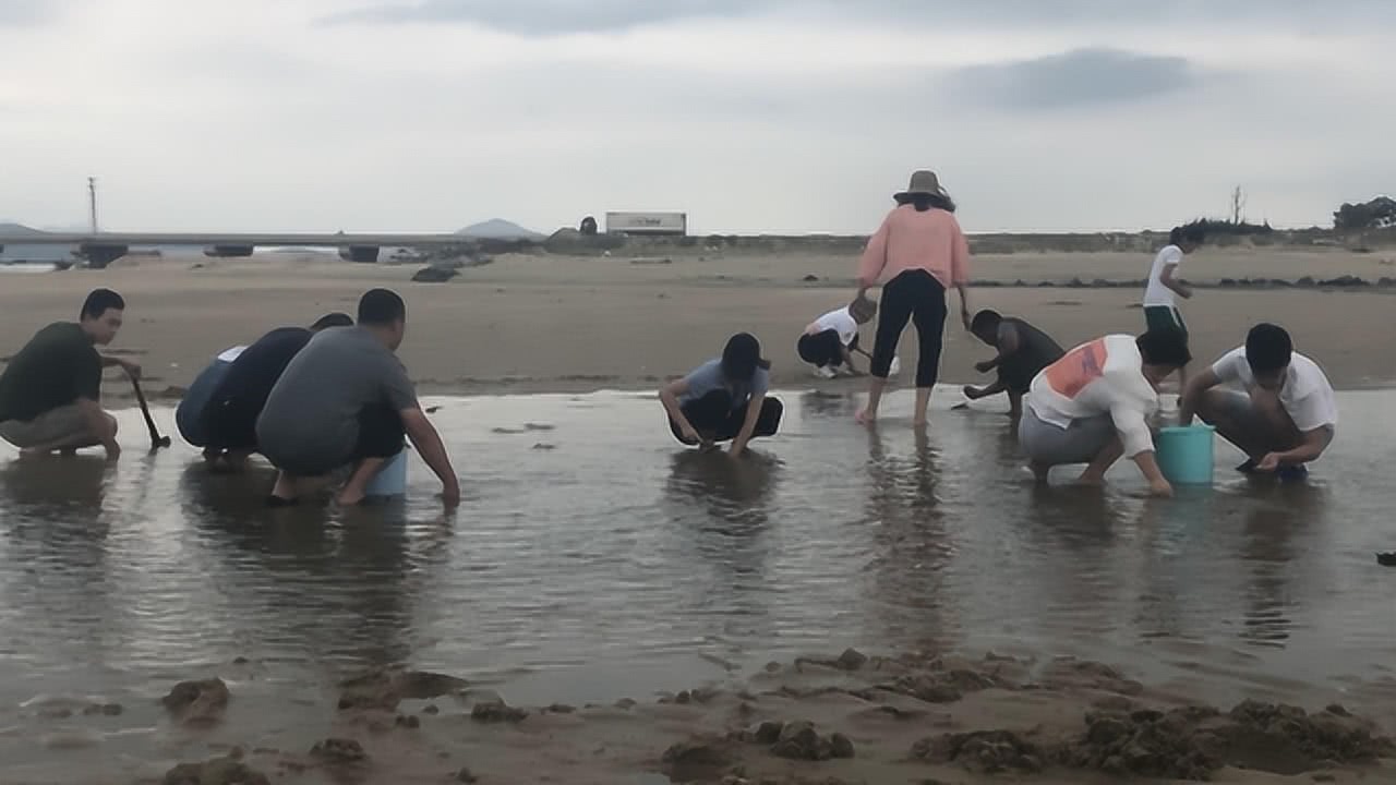 小倪赶海最新,小倪赶海最新，一种文化现象的多维解读