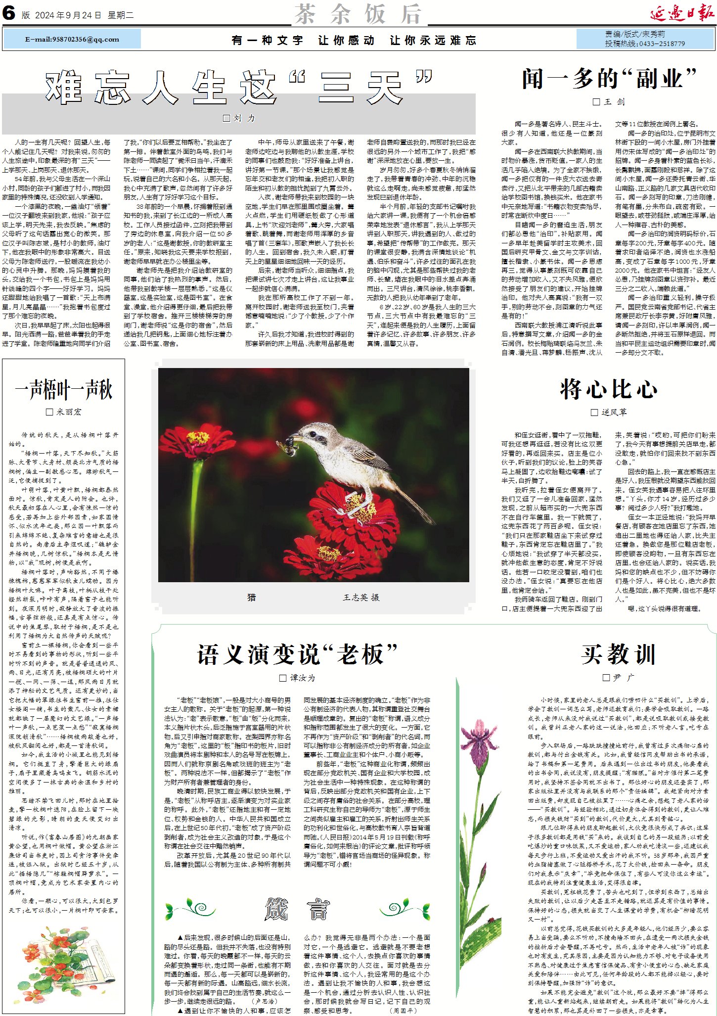今日最新日报，心灵与自然的奇妙之旅