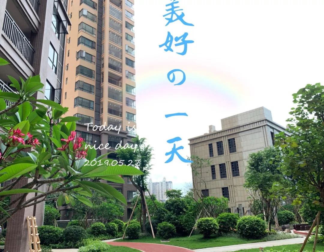 罗定汇景城最新房价，时代印记与市场的同步脉动
