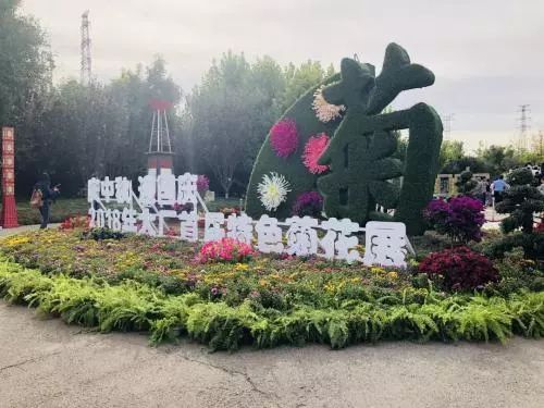 菏泽市领导调整，探索自然美景之旅，寻求内心平和与喜悦