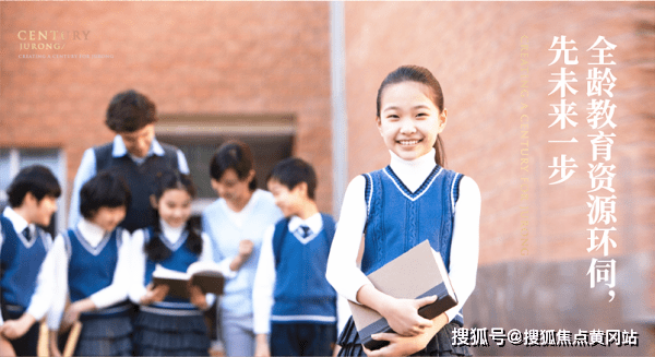 磁力最新观点，深度分析与阐述