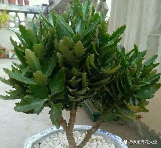 第589页