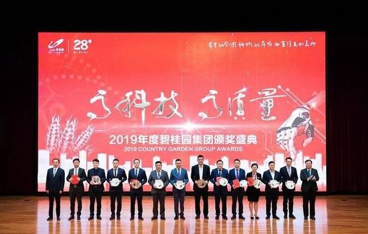 碧桂园最新动态揭秘，探索未来蓝图！