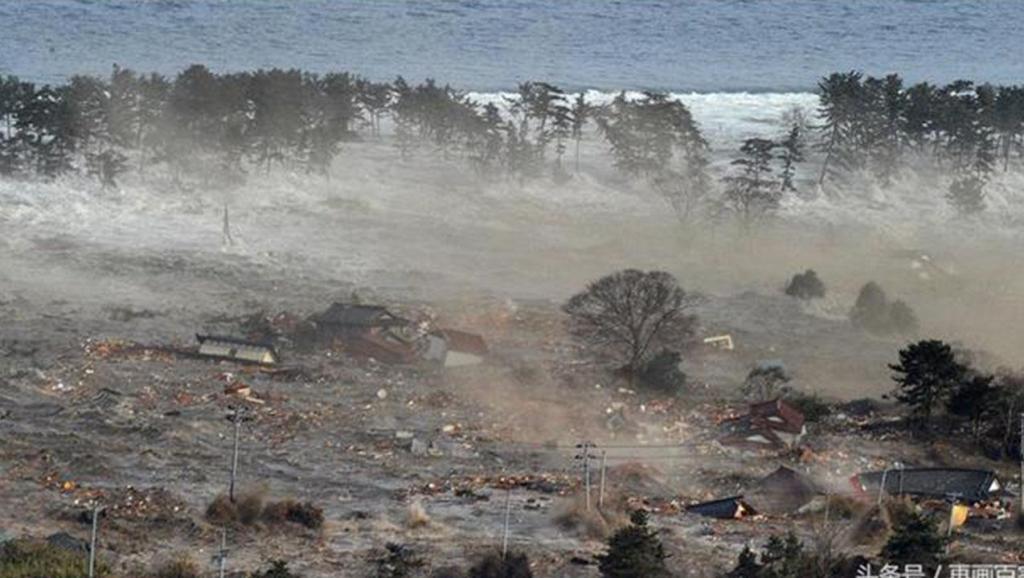 地震网最新动态，温馨日常故事中的地震关注