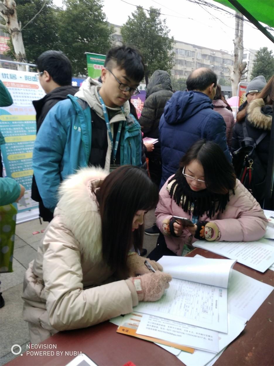 阳逻最新招聘信息全面概览