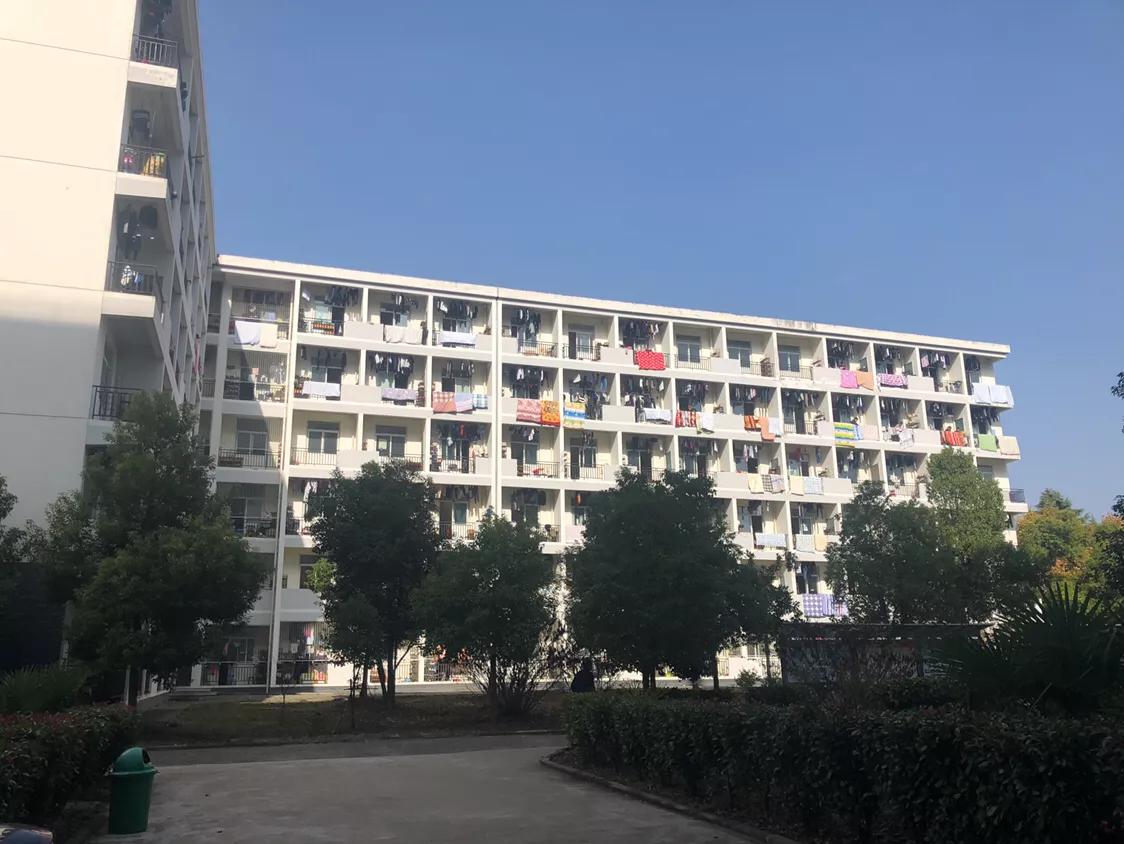 合肥学院最新动态，小巷深处的独特风味