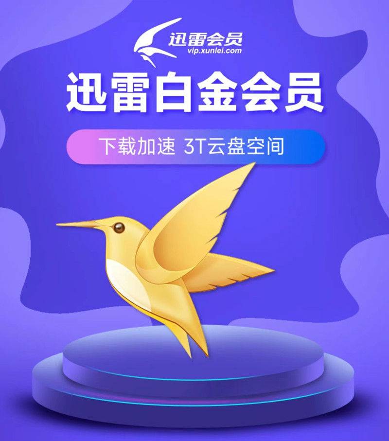 迅雷最新，价值、影响及我的观点分析