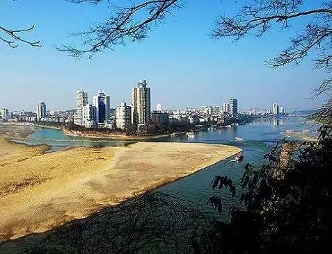 乐山最新动态，多维度探讨城市蓬勃发展之路