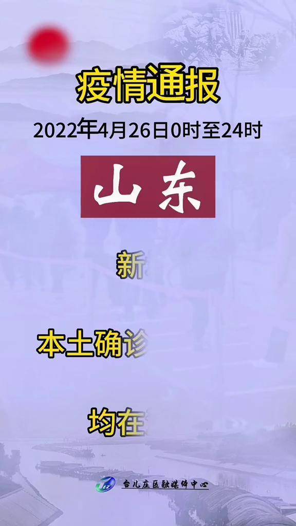 山东省最新动态报道✨