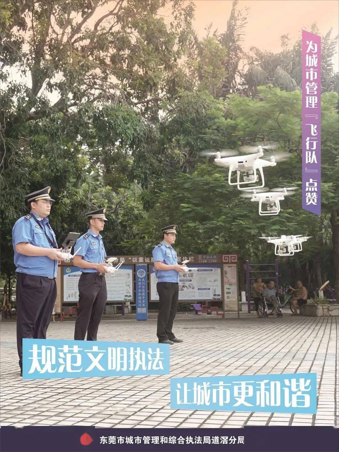 城管最新动态，自然美景鼓舞之旅，探寻内心宁静的远离尘嚣之旅