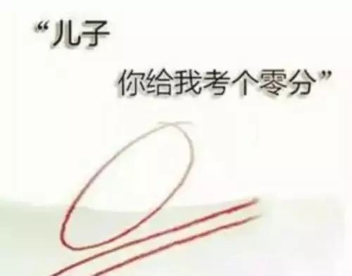 大葱最新价格动态，学习成长之路中的自信与成就感之路