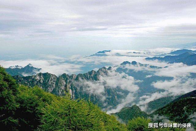 秦岭最新动态
