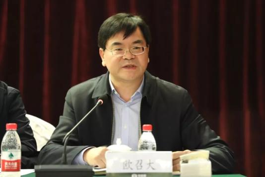欧召大最新动态更新